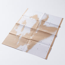 Load image into Gallery viewer, (RE)PICTURE 1 special edition