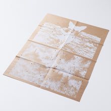 Load image into Gallery viewer, (RE)PICTURE 1 special edition