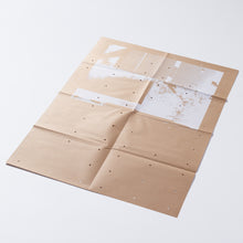 Load image into Gallery viewer, (RE)PICTURE 1 special edition