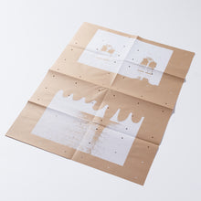 Load image into Gallery viewer, (RE)PICTURE 1 special edition