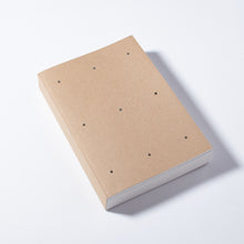 Load image into Gallery viewer, (RE)PICTURE 1 special edition