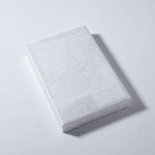 Load image into Gallery viewer, (RE)PICTURE 1 special edition